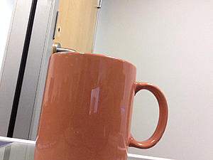 <script>alert(1)</script>-photo321.jpg