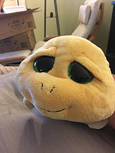 Testing-photo471.jpg
