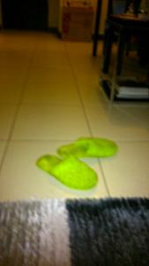 testing quotes-dsc_0210.jpg