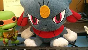 Testing images-1415404556549.jpg