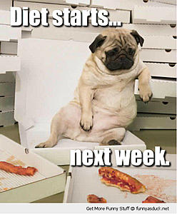 Testing uploads limit-photo212.jpg
