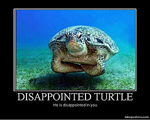 Testing uploads limit-photo551.jpg