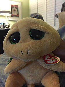 Testing uploads limit-photo497.jpg