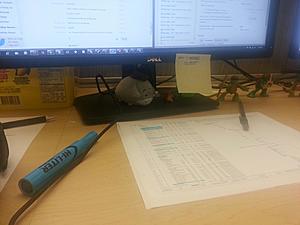 Testing attachments-1415752355780.jpg