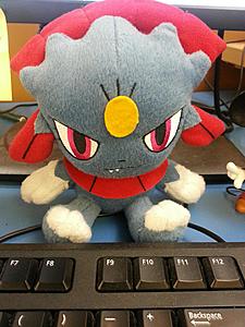 Testing attachments-20140826_105512.jpg