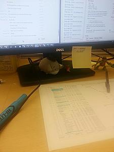 Test ub g-1415752369270.jpg