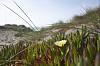 New thread test-photo434.jpg