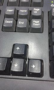 Demo-1416292499146.jpg