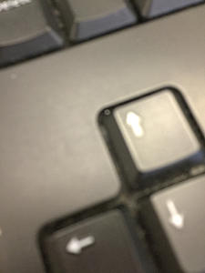 Threaderinos-photo372.jpg