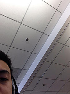 Test thread latest-photo4294966471.jpg