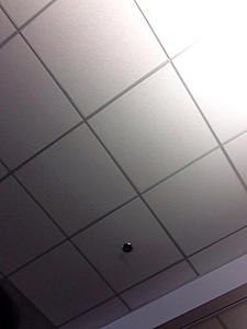 8.4 new thread-photo30.jpg