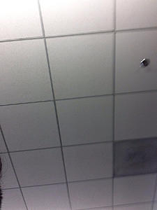 8.4 new thread-photo484.jpg