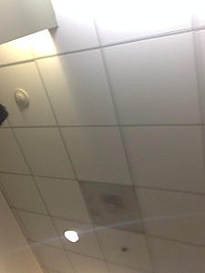 Hshshsj had-photo335.jpg