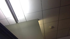 Hshshsj had-photo763.jpg