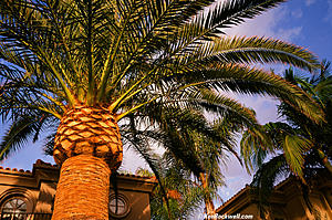 Uhhhhhggsgsgsgs-photo748.jpg