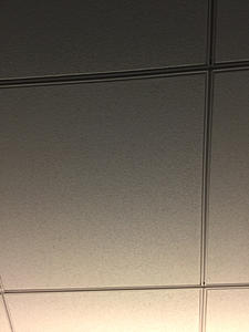 Take photo test-photo557.jpg