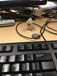 Jay Test Thread-1484932560404.jpg