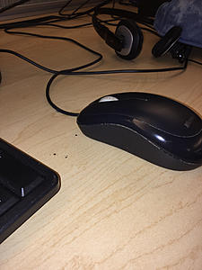 iOS 9 test thread-photo689.jpg