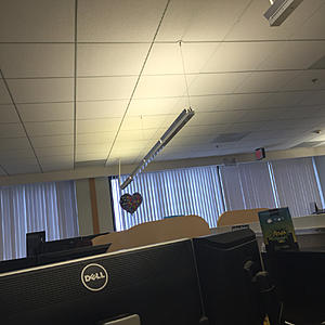 Testing images-photo312.jpg