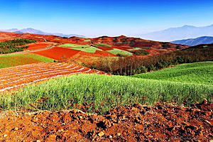 Test photo-photo323.jpg